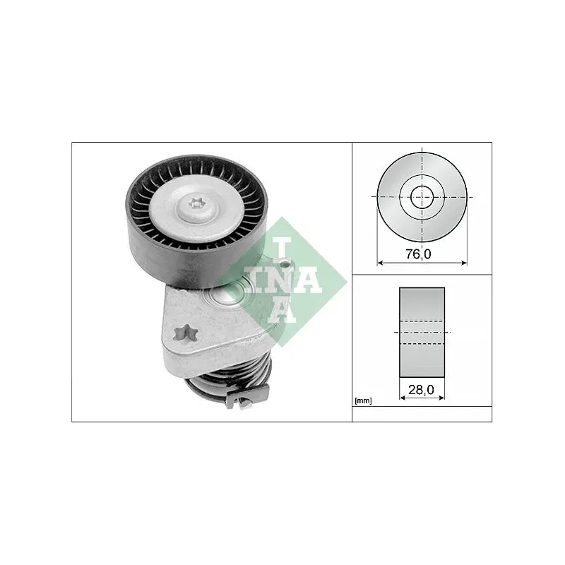 Schaeffler INA 534008130 Tensor de correa, correa poli V