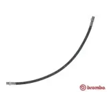 BREMBO T50037 Tubo flexible de frenos