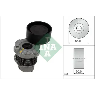 Schaeffler INA 534059010 Tensor de correa, correa poli V