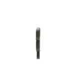 BOSCH 1987946022 Correa trapecial poli V