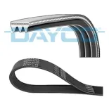 DAYCO 3PK856EE Correa trapecial poli V
