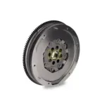 Schaeffler LuK 415041810 Volante motor