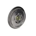 Schaeffler LuK 415046810 Volante motor