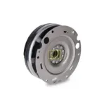 Schaeffler LuK 415070610 Volante motor