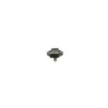 BOSCH 0281002976 Sensor, presión colector de admisión