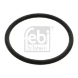 FEBI BILSTEIN 17966 Junta, termostato