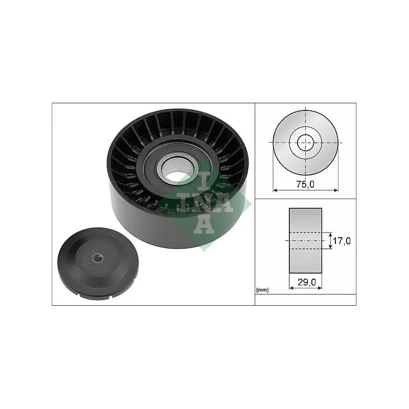 Schaeffler INA 532053610 Polea inversión/guía, correa poli V