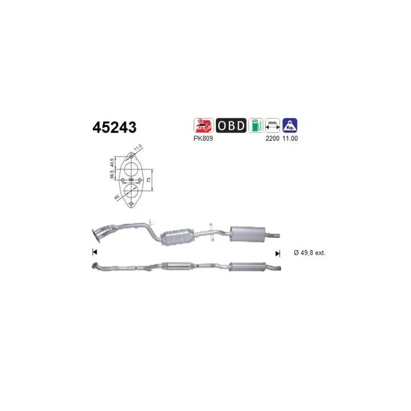 AS 45243 Catalizador