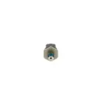 BOSCH 0281006507 Sensor, presión combustible
