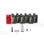 TCMATIC 105.106.0029 Kit, cambio de aceite del cambio automático
