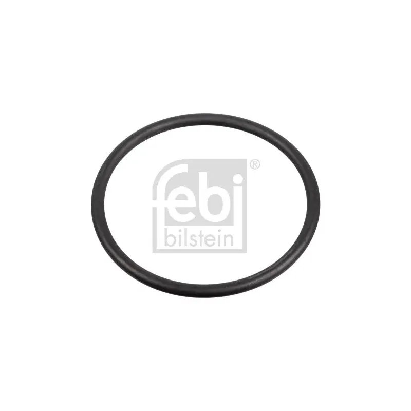 FEBI BILSTEIN 172666 Junta, bomba de combustible