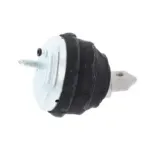 CORTECO 603648 Soporte, motor