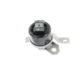 CORTECO 49389729 Soporte, motor