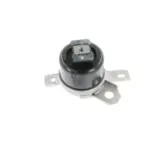 CORTECO 49389729 Soporte, motor