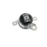 CORTECO 49389729 Soporte, motor