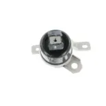 CORTECO 49389729 Soporte, motor