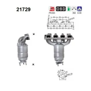 AS 21729 Catalizador