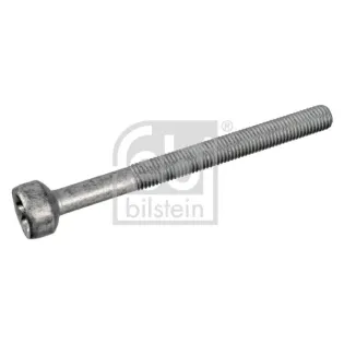 FEBI BILSTEIN 172930 Tornillo, soporte inyector