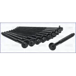 AJUSA 81034200 Juego de tornillos de culata