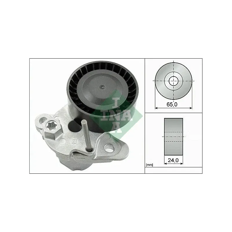 INA SCHAEFFLER 534048010 Tensor de correa