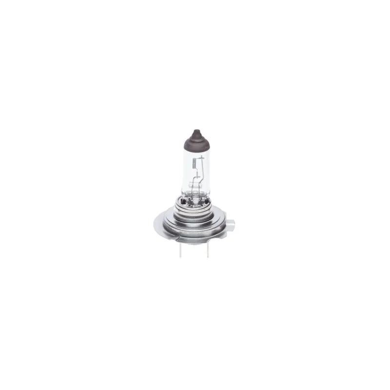 BOSCH 1987302091 Lámpara, faro principal