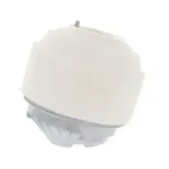 CORTECO 80004616 Soporte, motor