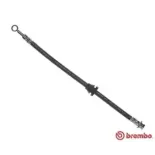 BREMBO T10003 Tubo flexible de frenos