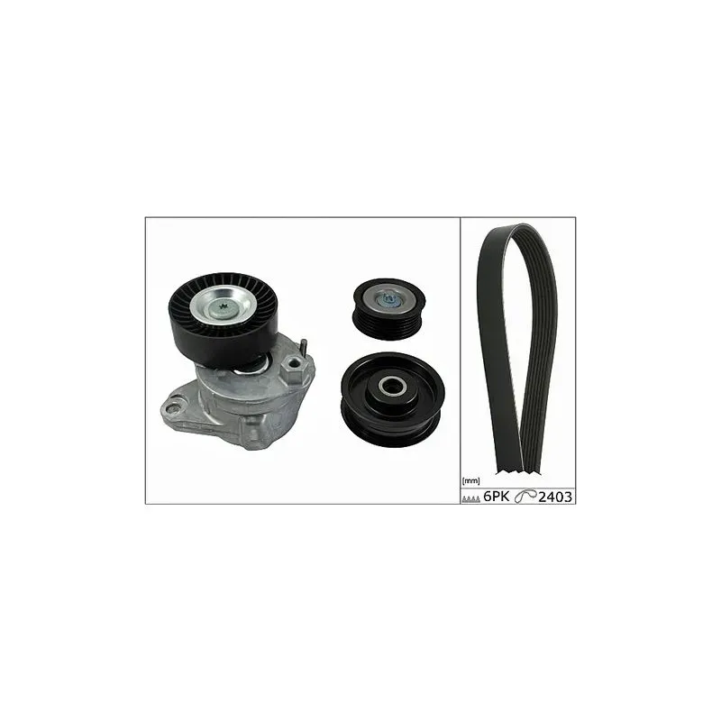 Schaeffler INA 529003410 Juego de correas trapeciales poli V