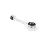 CORTECO 80000295 Soporte, motor