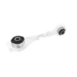 CORTECO 80000295 Soporte, motor