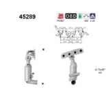 AS 45289 Catalizador