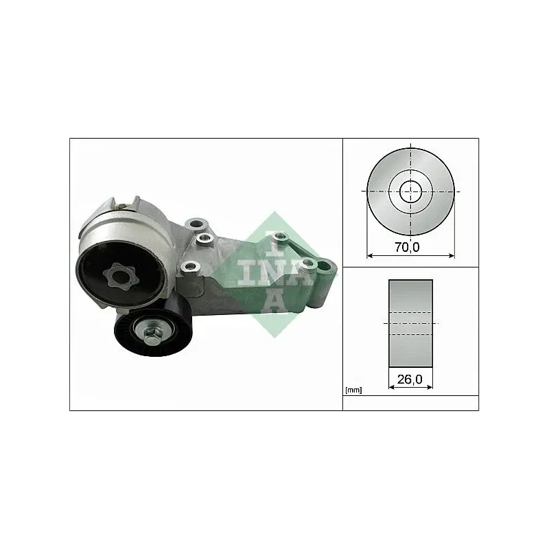 INA SCHAEFFLER 534014610 Tensor de correa