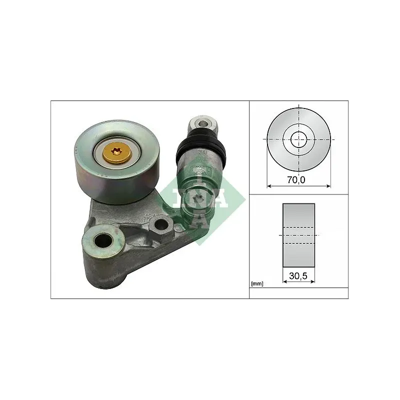 INA SCHAEFFLER 534062910 Tensor de correa