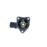 NRF 725043 Termostato, refrigerante