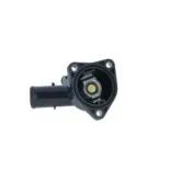 NRF 725043 Termostato, refrigerante