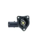 NRF 725043 Termostato, refrigerante