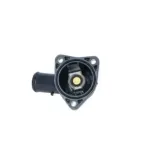 NRF 725043 Termostato, refrigerante