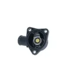 NRF 725043 Termostato, refrigerante