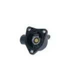 NRF 725043 Termostato, refrigerante