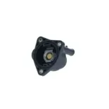 NRF 725043 Termostato, refrigerante