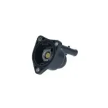 NRF 725043 Termostato, refrigerante