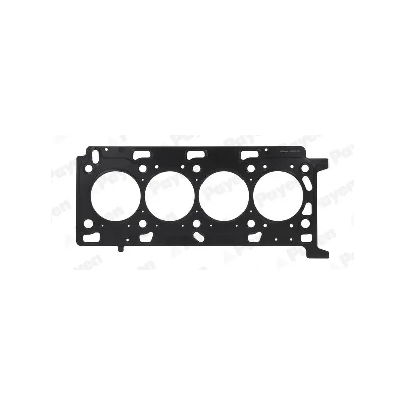 PAYEN AG9760 Junta, culata