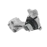 CORTECO 80004583 Soporte, motor