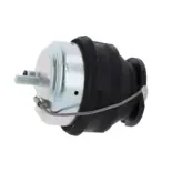 CORTECO 80000674 Soporte, motor