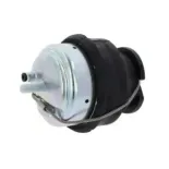 CORTECO 80000674 Soporte, motor