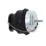 CORTECO 80000674 Soporte, motor