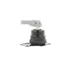 CORTECO 80000321 Soporte, motor