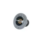 NRF 725246 Termostato, refrigerante