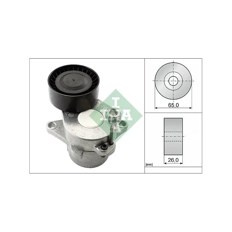 INA SCHAEFFLER 534061110 Tensor de correa