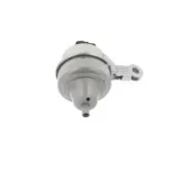 CORTECO 80001853 Soporte, motor
